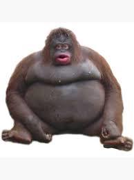 image.jpeg.30737cecc61b2ff5669f76610afad9e4.jpeg
