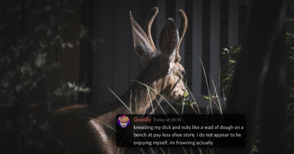 goodly.jpg