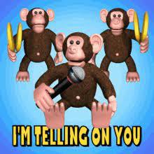 image.jpeg.2663a954d269a9ef58c25cffda2abe20.jpeg
