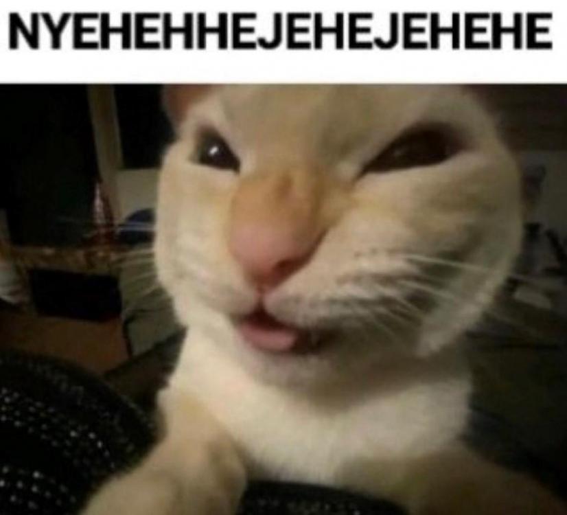 1700406872_Screenshot2023-08-19134641.thumb.jpg.77fc39c4f8e6fc556529abbbae09ca68.jpg