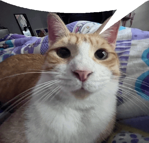 attachment.gif.017481c65c7d41d4b1a61c75497a8bca.gif