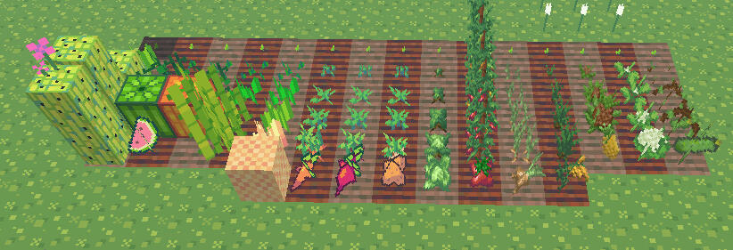 Weekly Project: Community Progress Evaluation Party