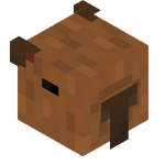 Scav
