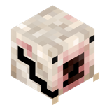 LRTER_