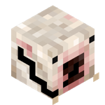 LRTER_